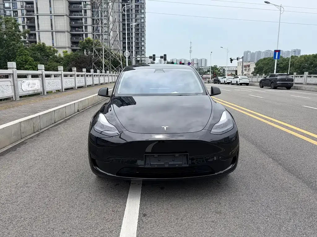 Tesla Model Y — фото 6