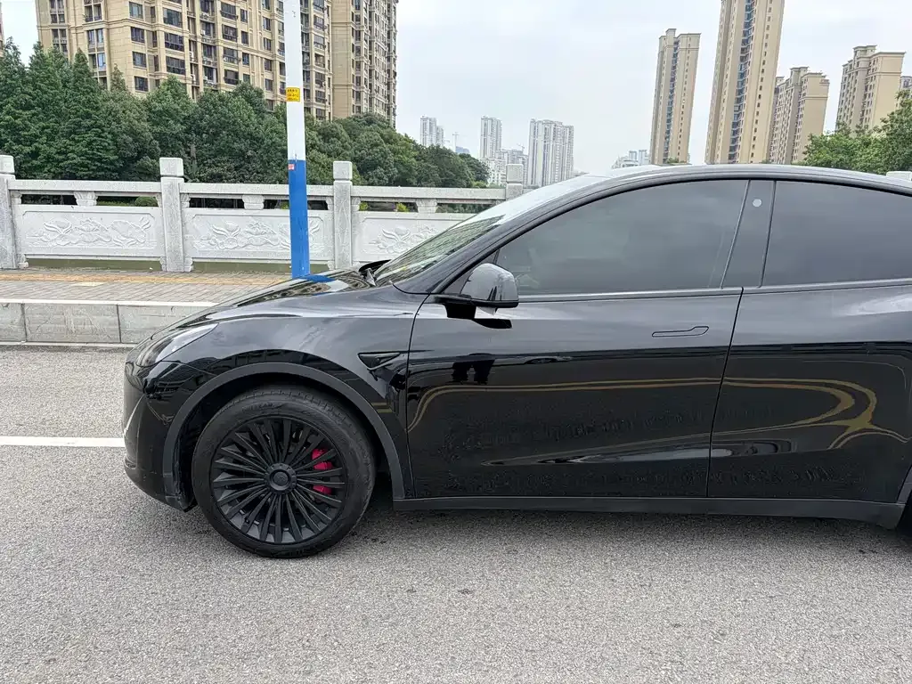 Tesla Model Y — фото 7