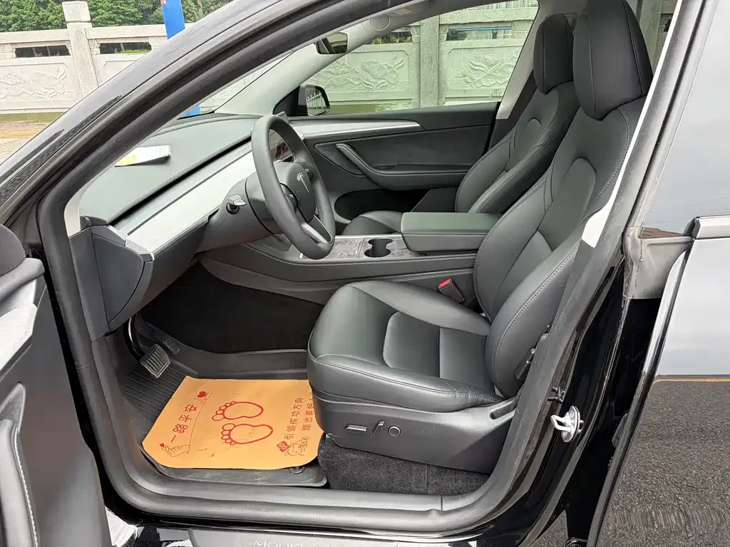 Tesla Model Y — фото 10
