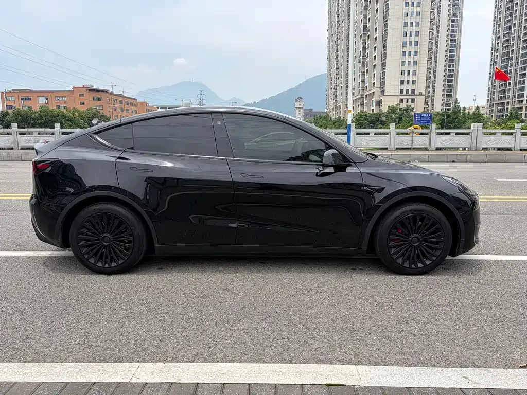 Tesla Model Y — фото 9