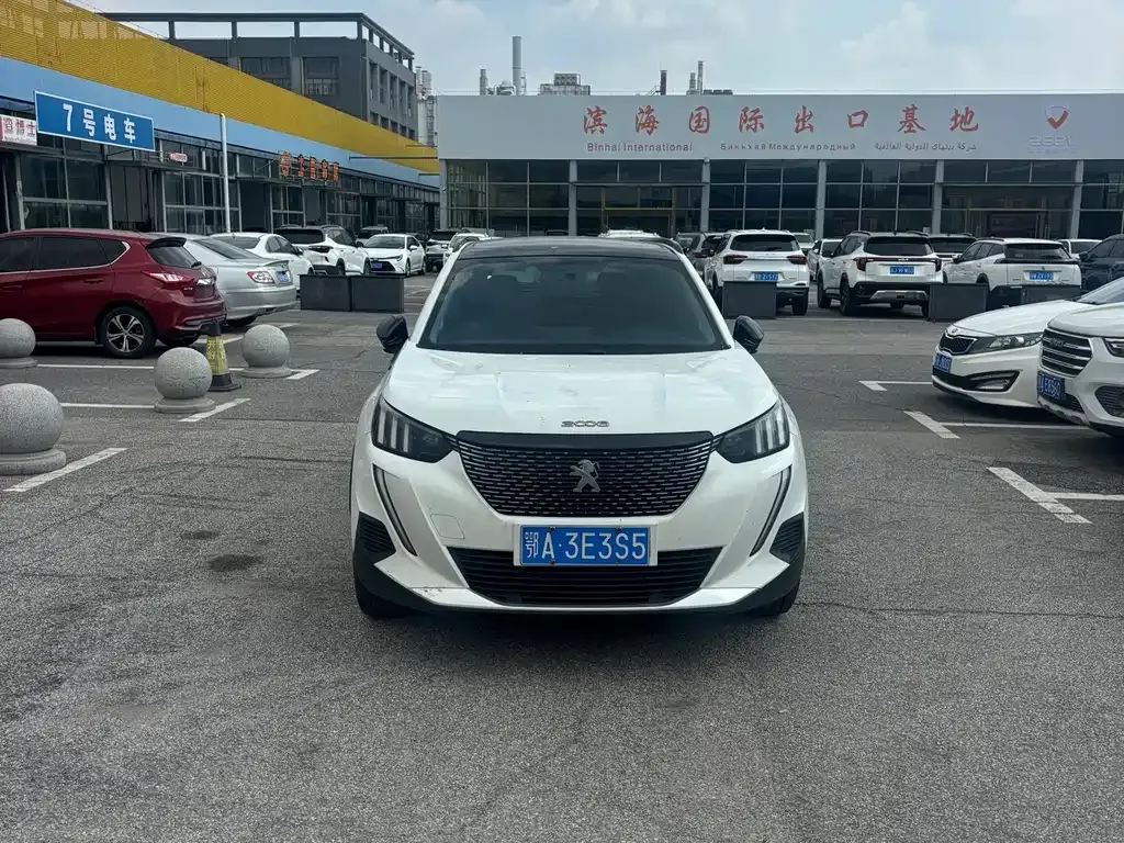 Peugeot 2008 2022 из CN, фото 9