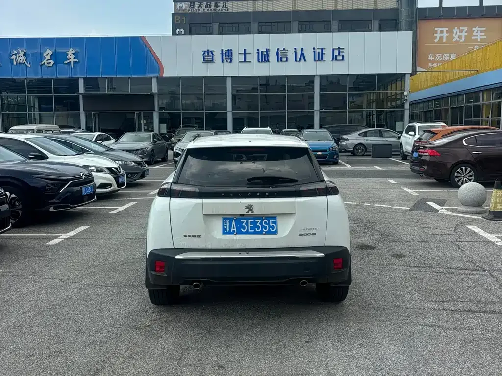 Peugeot 2008 2022 из CN, фото 4