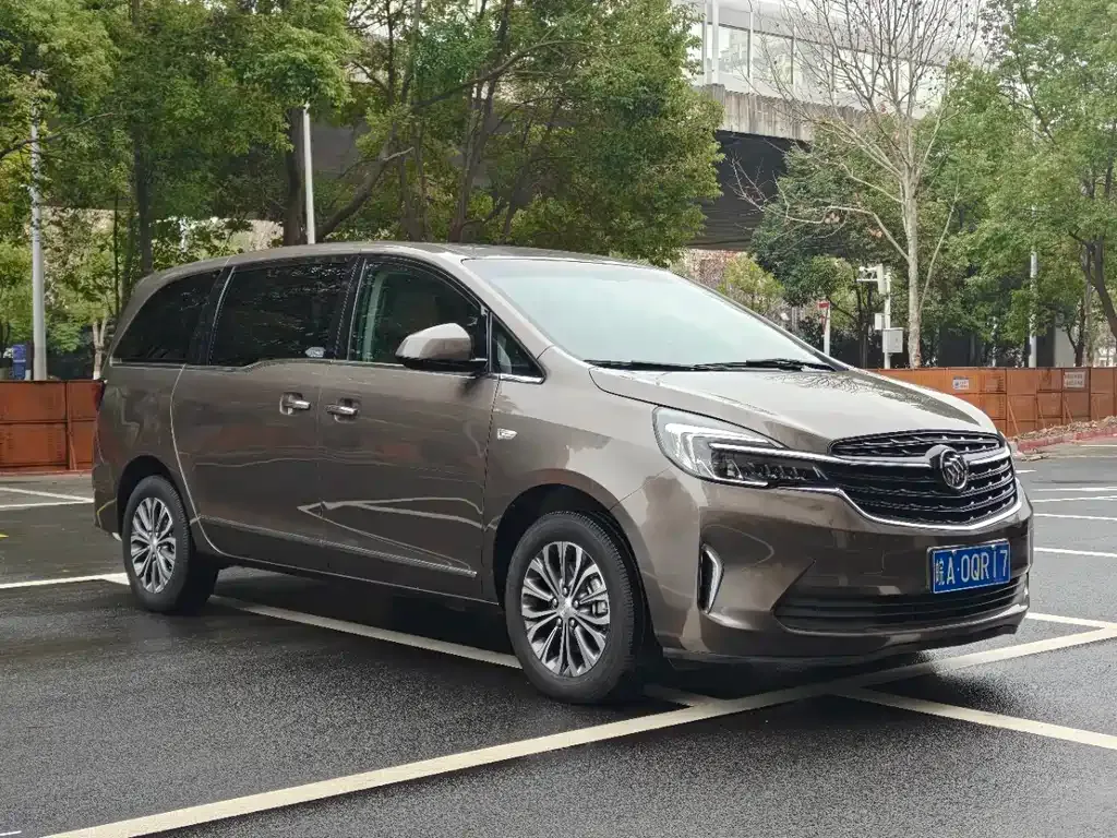 Buick GL8 2021 из CN, фото 10