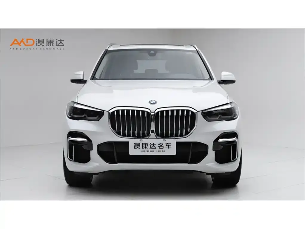 BMW X5 2022 из CN, фото 6