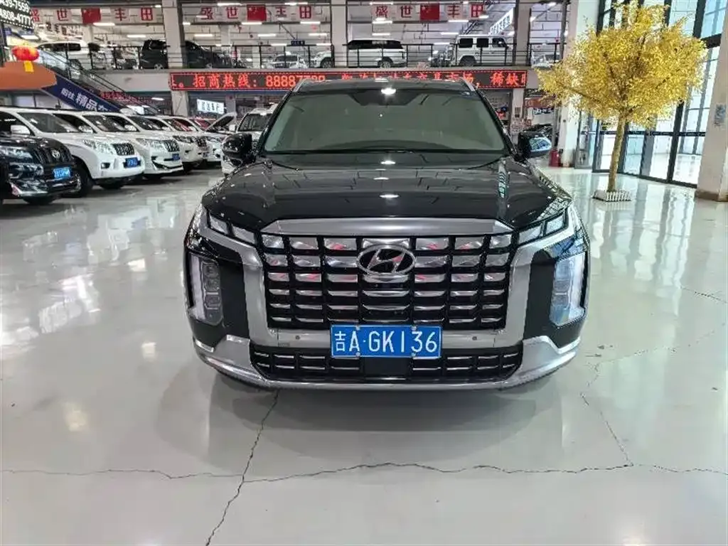Hyundai Palisade 2024 из CN, фото 8