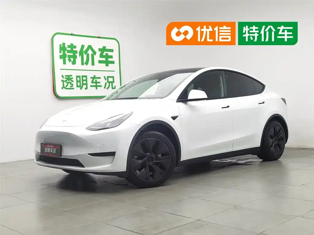 Tesla Model Y — фото 1