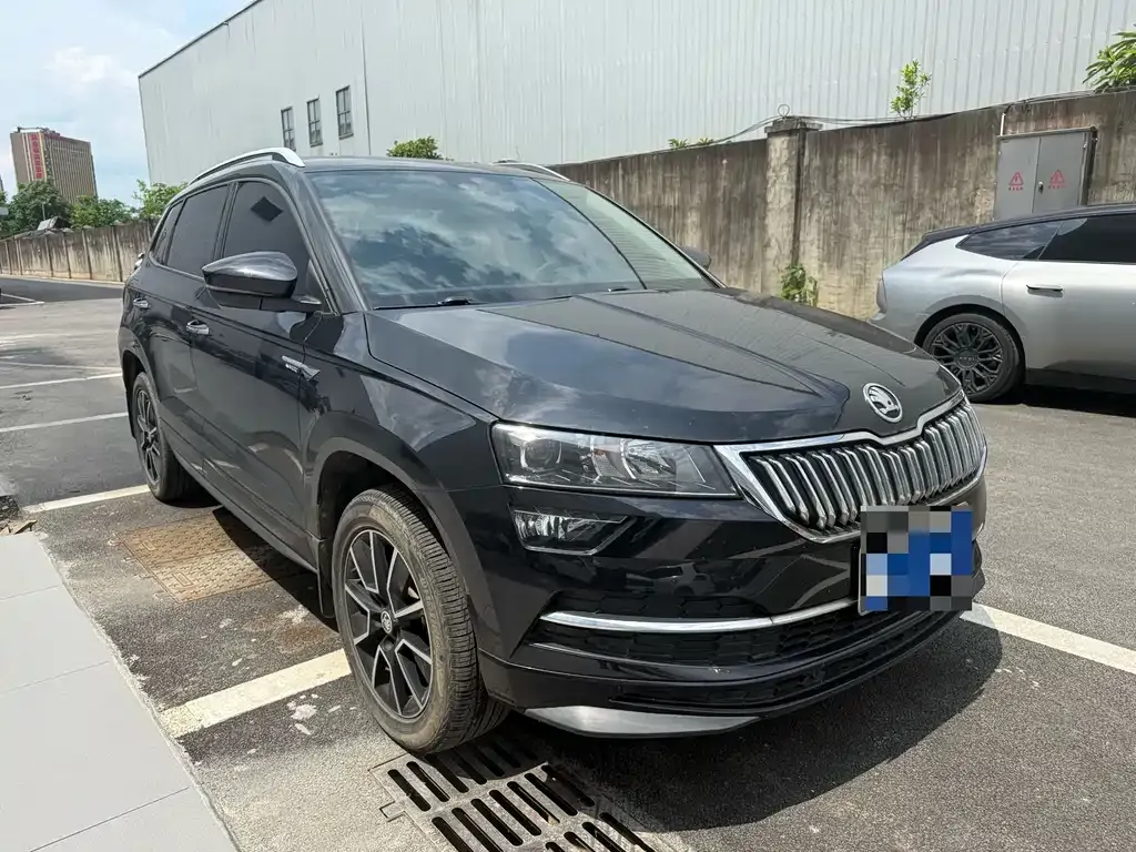 Skoda Karoq — фото 8
