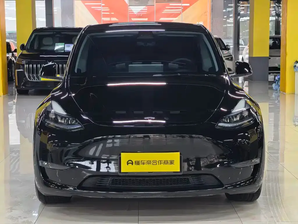 Tesla Model Y — фото 9