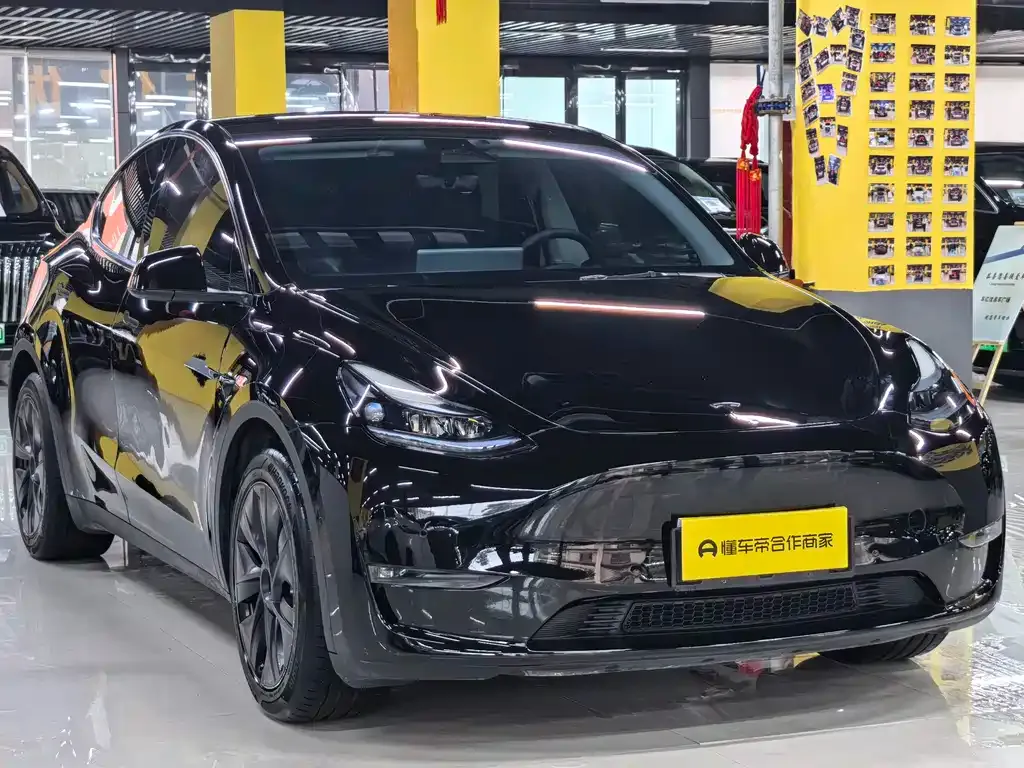 Tesla Model Y — фото 10