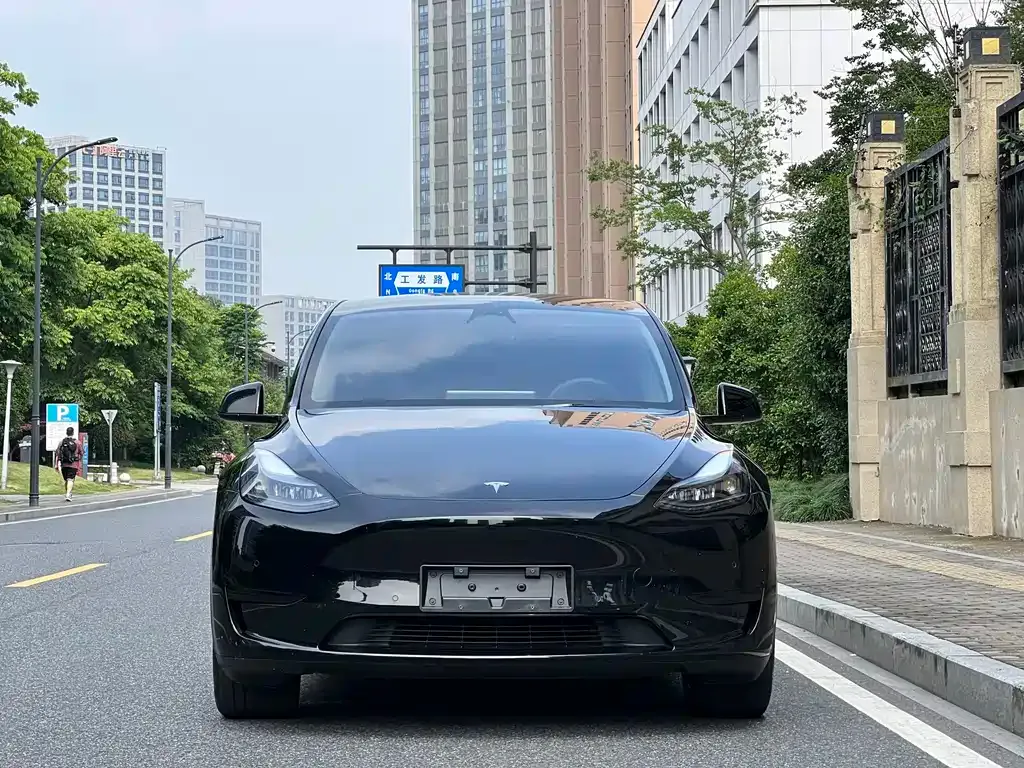 Tesla Model Y — фото 8