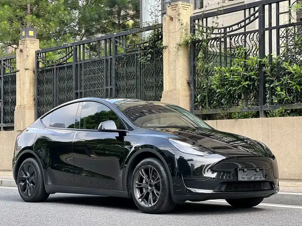 Tesla Model Y — фото 9