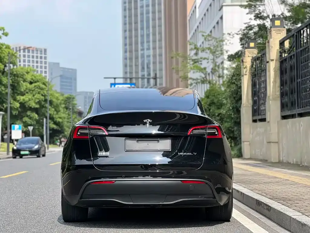 Tesla Model Y — фото 4