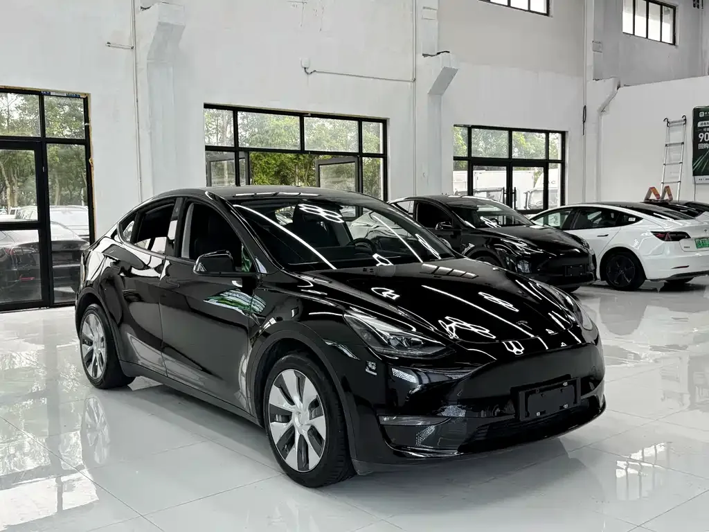 Tesla Model Y — фото 8