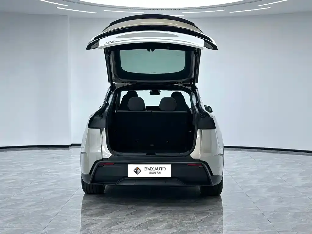 Tesla Model Y L 2026 из CN, фото 6
