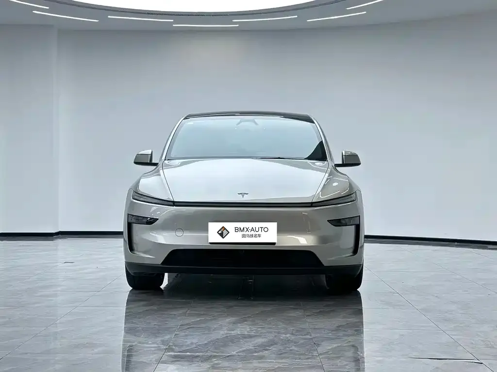Tesla Model Y L 2026 из CN, фото 4