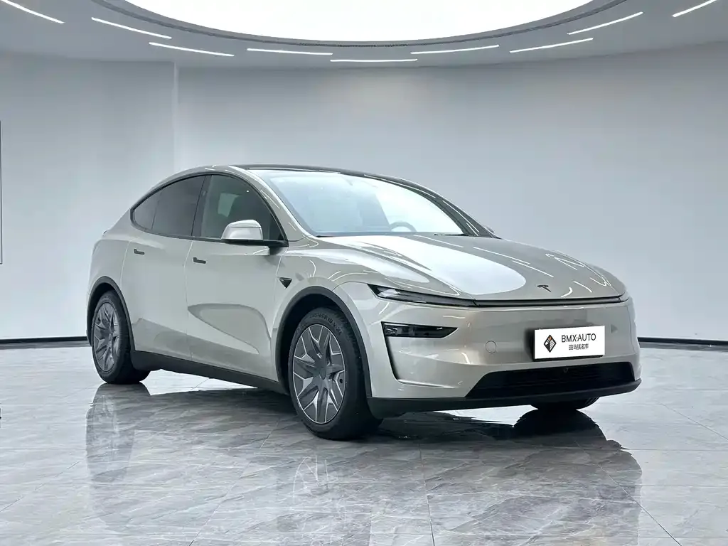 Tesla Model Y L 2026 из CN, фото 5