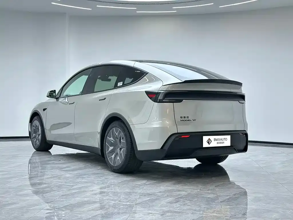 Tesla Model Y L 2026 из CN, фото 7