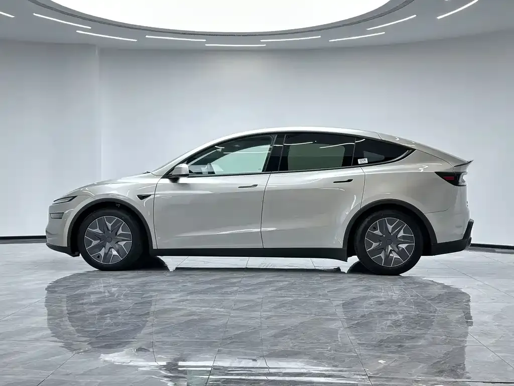 Tesla Model Y L 2026 из CN, фото 9