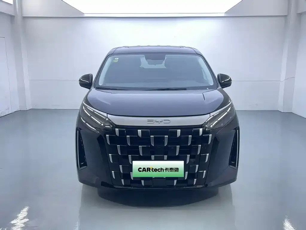 BYD M9 2025 из CN, фото 2