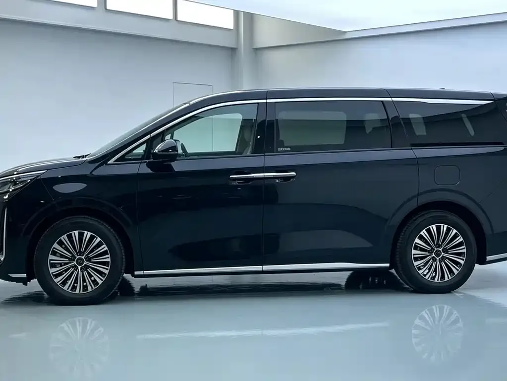 BYD M9 2025 из CN, фото 3