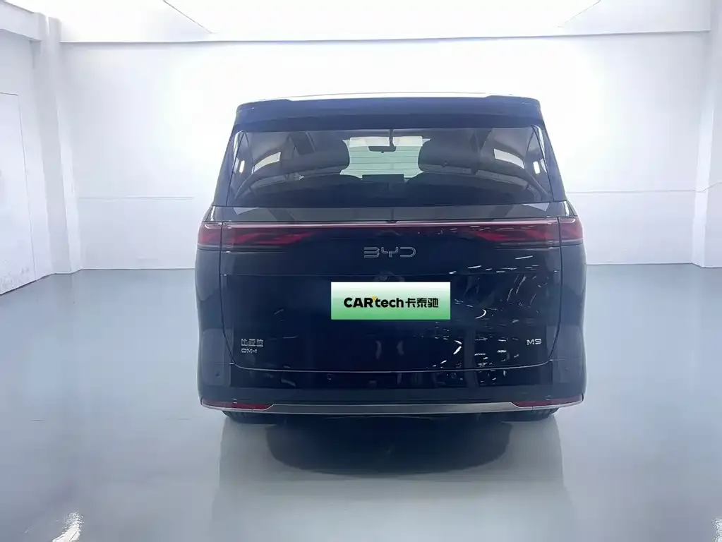 BYD M9 2025 из CN, фото 5