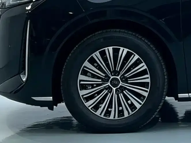 BYD M9 2025 из CN, фото 4