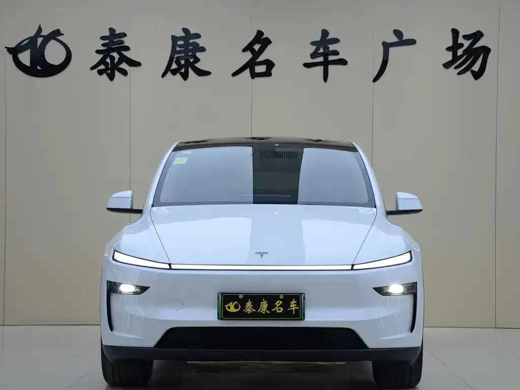 Tesla Model Y — фото 9