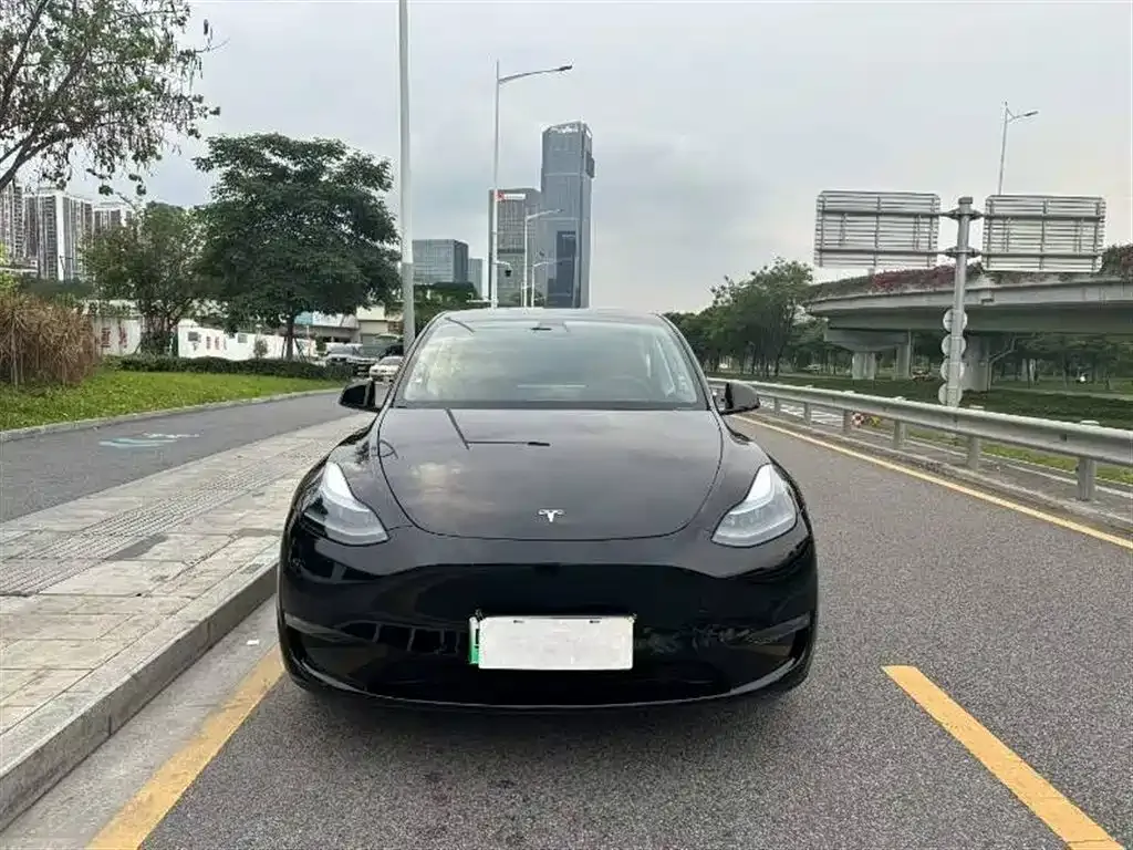 Tesla Model Y — фото 8