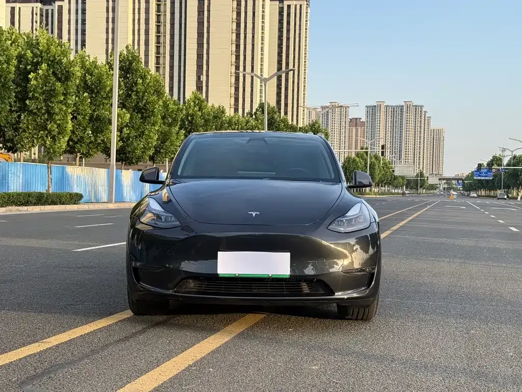 Tesla Model Y — фото 8