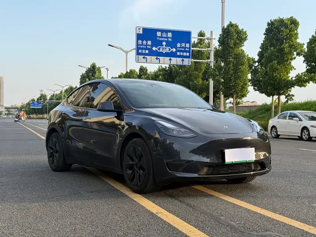 Tesla Model Y — фото 6