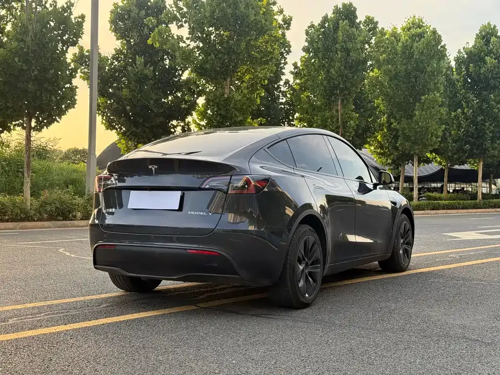 Tesla Model Y — фото 5