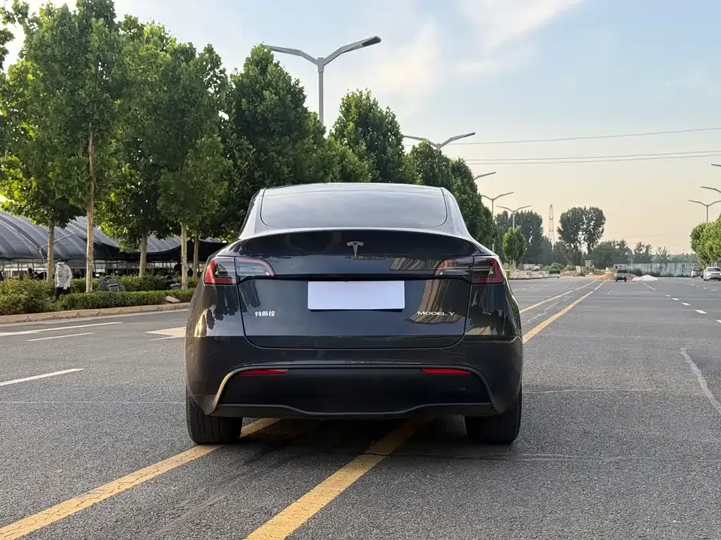 Tesla Model Y — фото 3