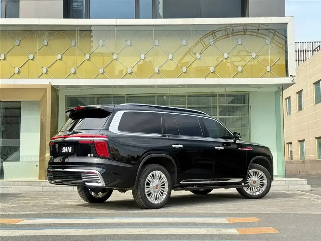 Hongqi Golden Sunflower Guoyao 2023 из CN, фото 9