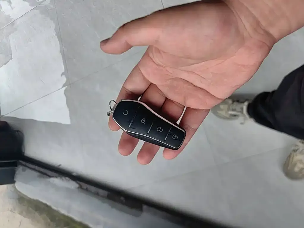 BYD L DM-i — фото 2