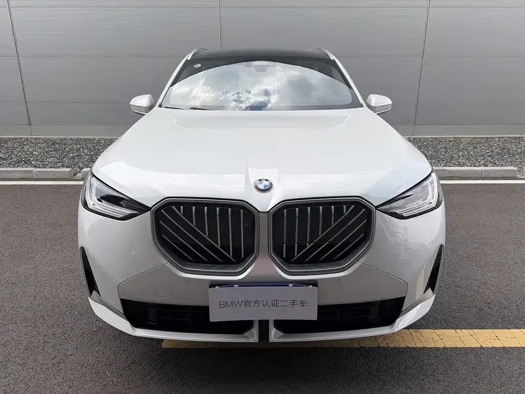 BMW X3 2025 из CN, фото 8