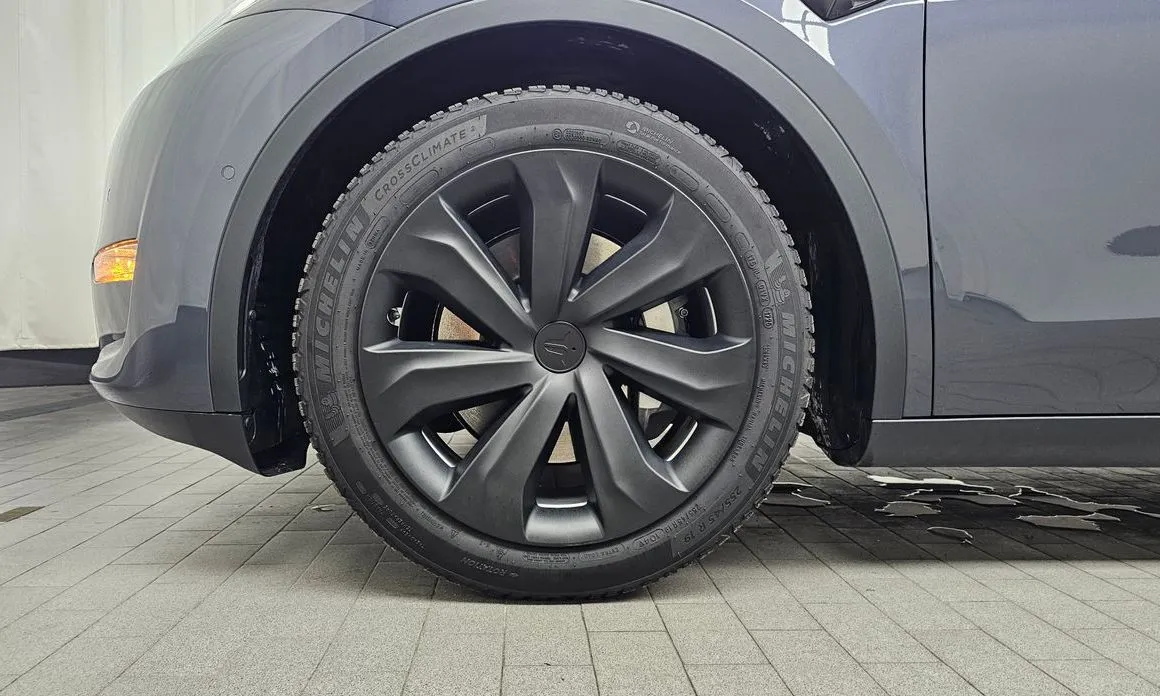Tesla Model Y — фото 10