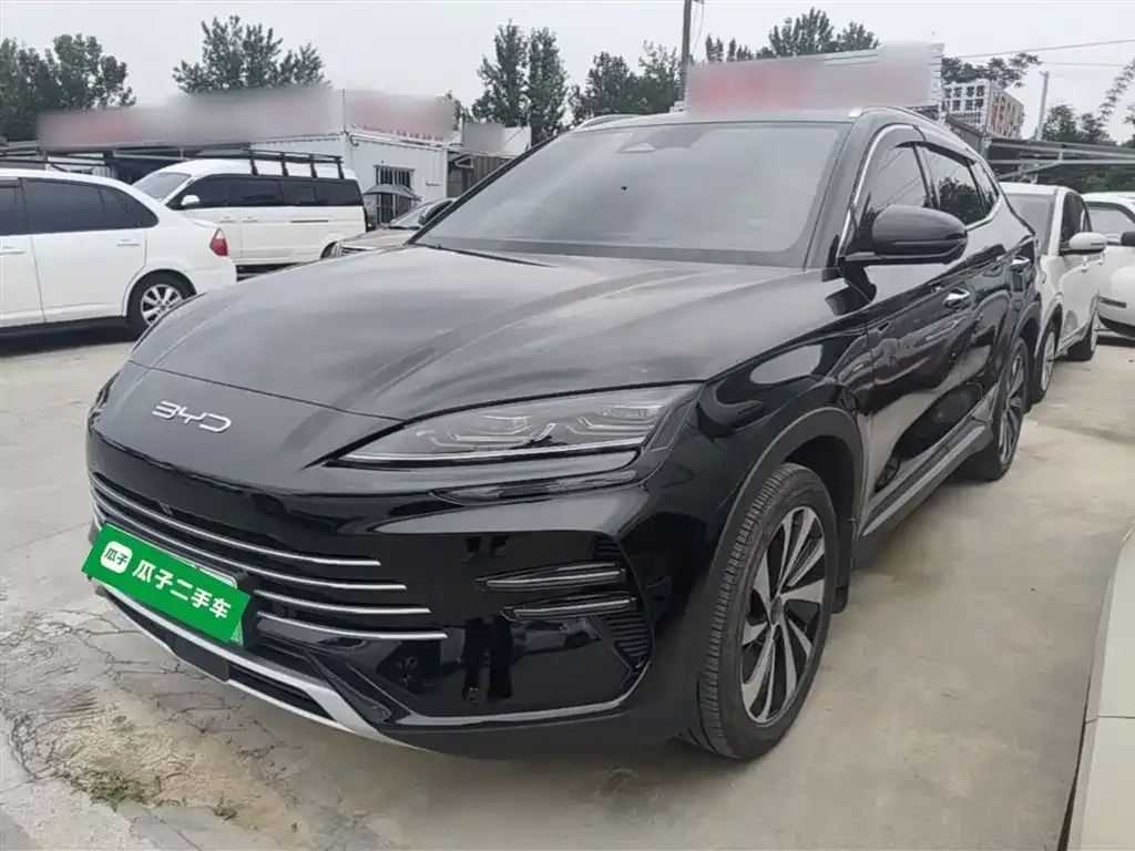 BYD PLUS New Energy — фото 1