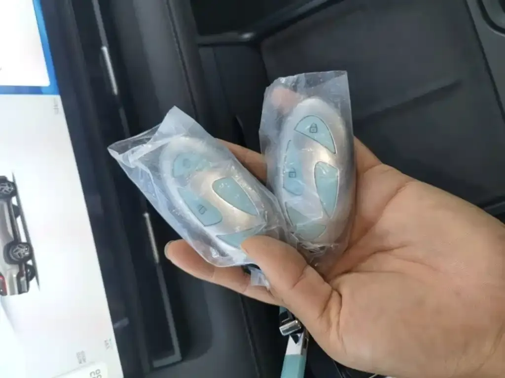 Hyundai EO 2026 из CN, фото 3