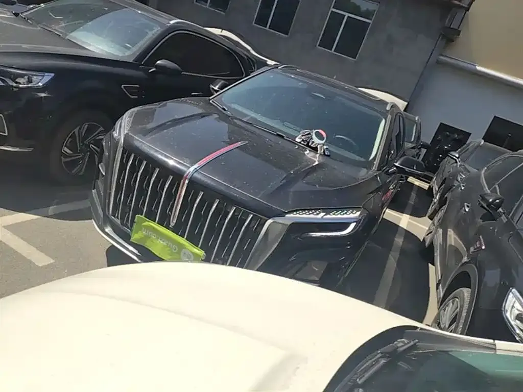 Hongqi HS3 PHEV 2024 из CN, фото 9