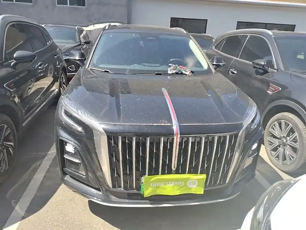 Hongqi HS3 PHEV 2024 из CN, фото 10
