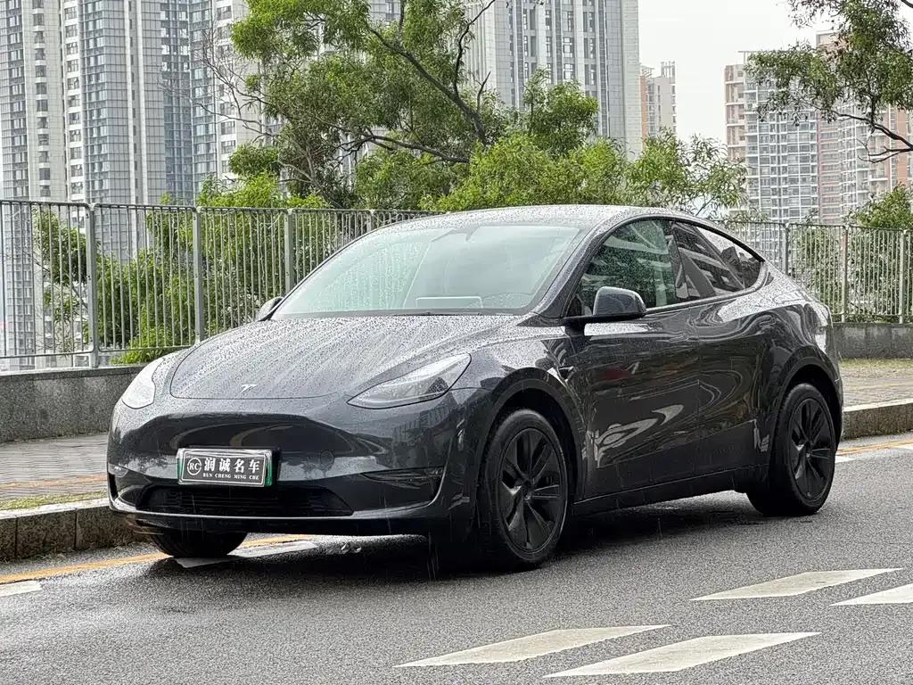 Tesla Model Y — фото 1