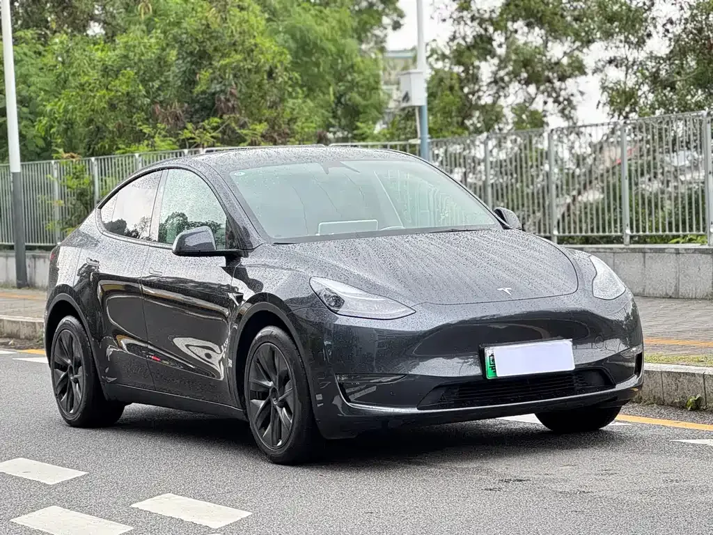 Tesla Model Y — фото 6