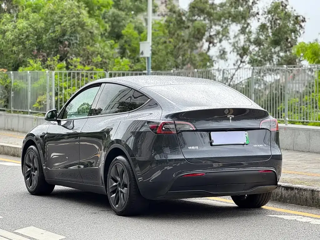 Tesla Model Y — фото 4