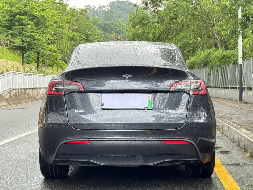 Tesla Model Y — фото 5
