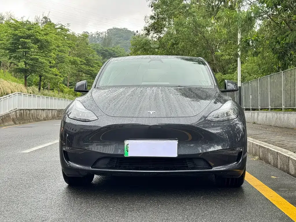 Tesla Model Y — фото 9