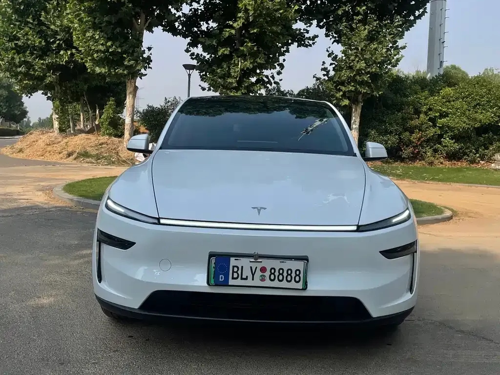 Tesla Model Y — фото 3