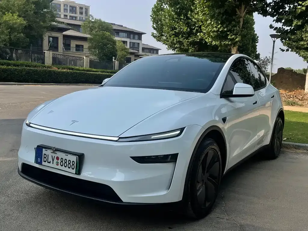 Tesla Model Y — фото 9