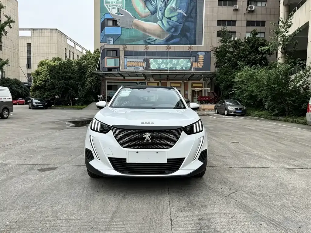 Peugeot 2008 2021 из CN, фото 6