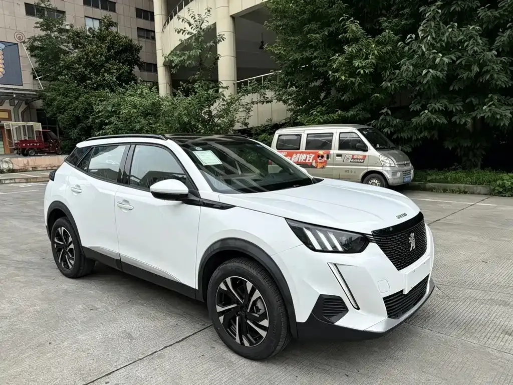 Peugeot 2008 2021 из CN, фото 8