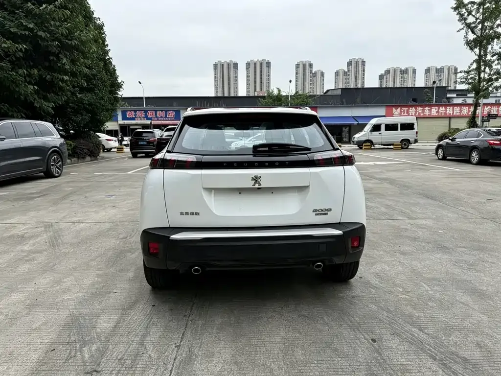 Peugeot 2008 2021 из CN, фото 9